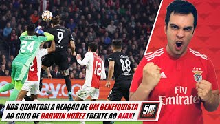 BENFICA NOS QUARTOS Festejo de um Benfiquista ao golo de Darwin Núñez frente ao Ajax shorts [upl. by Lamiv]