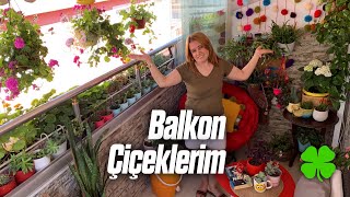 Balkonumdaki Çiçeklerimi Gösteriyorum 🌱  Çiçeklerimi Nereye Koyuyorum Püf Noktalar [upl. by Andra]