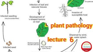 Lecture 6 of plant pathology blast disease of rice [upl. by Ojoj]