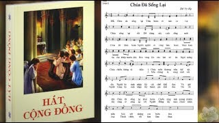 Thánh ca CHÚA ĐÃ SỐNG LẠI  Sáng tác Đỗ Vi Hạ  Thực hiện  Nguyễn Tuyết Mai [upl. by Oahc]