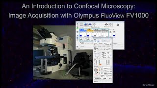 Introduction to the Olympus FluoView FV1000 Confocal Laser Scanning Software [upl. by Driskill]