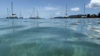 Join us on our trip to USVI St Thomas Westin Frenchman’s Reef usvi stthomas westin [upl. by Aikcir]