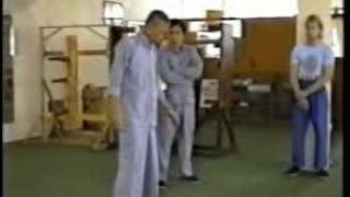 Wing Chun  Master Tsui Sheung Tin Chu Shong Tin on Wing Chuns Stance [upl. by Jesselyn]