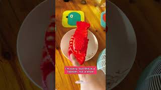 🦐🦐🦐Cubpi mistook his pair of slippers for a lobster Hilarious video toysdiy funny trending [upl. by Angy]