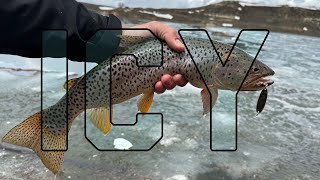 Fishing Ice Off for Bear Lake Cutthroat Trout [upl. by Vullo]