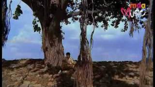 Maa Music  KU KU KOILA KEERTHANA MANAVARALII PELLI SONGS Watch Exclusively on Maa Music [upl. by Mona]