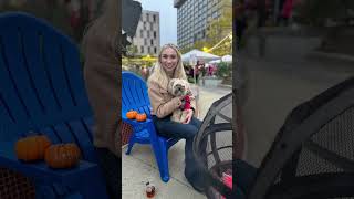 Downtown Akron Fall Fest 2024 IG reel [upl. by Femi500]