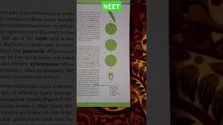 MORPHOLOGY OF FLOWERING PLANTS placentation typeMarginalAxileParietalFree central Basal neet [upl. by Anifares]