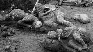 35 Random Facts About Pompeii [upl. by Waynant]