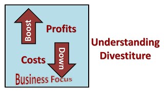 Understanding Divestiture [upl. by Pietra]