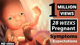 28 Weeks Pregnant Baby Position  Health Care Tips For Pregnant Women [upl. by Bainter]