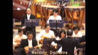 ネッラ・ファンタジア Nella Fantasia （Gabriels Oboe）  エンニオ・モリコーネ Ennio Morricone [upl. by Alios780]