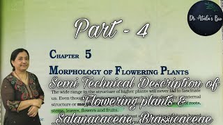 Morphology of flowering plants  Part 4  Class 11 Biology  NCERT NEET [upl. by Gina798]