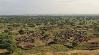 Aerial view of a Toposa traditional village Namorunyang State Kapoeta South Sudan [upl. by Ynnoj490]