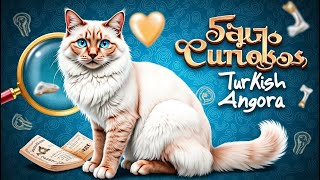 7 Fatos Curiosos sobre o Gato Turkish Angora bichosfelinos [upl. by Namas413]