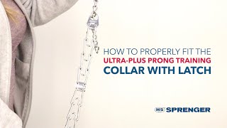 Intro to Prong Collars [upl. by Algie225]