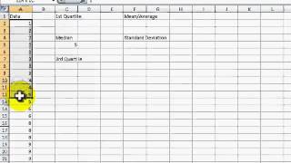 How to Find Mean STD Median and Quartiles Excel 2007 [upl. by Haleelahk]