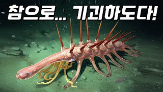 5억 년 전 생명체 할루키게니아에 얽힌 100년간의 미스터리 [upl. by Ynatirb]