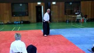 Alfred Heymann 7Dan StabKata Aikido [upl. by Aeneg500]