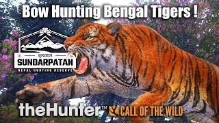 Bow Hunting Bengal Tigers At Sundarpatan Nepal  theHunter Call Of The Wild [upl. by Am]