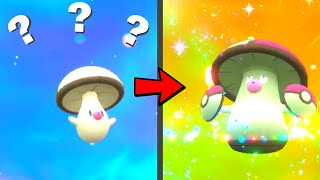 How to find Foongus and Evolve it into Amoonguss in Pokemon Scarlet amp Violet [upl. by Jason]