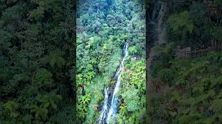 Cascada Biotopo del Quetzal en Guatemala guatemala drone naturalezaviva guatemala viajes [upl. by Sperling968]