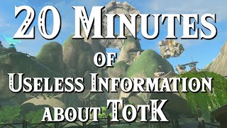 20 Minutes of Useless Information about TotK [upl. by Juxon]