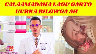 CALAAMADAHA LAGU GARTO UURKA BILOWGA AH Dr Faris [upl. by Reibaj]