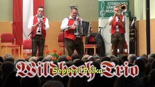 Wildbach Trio  Sepperl Polka [upl. by Wasson]