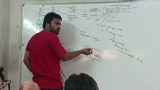 Topic  The Pistil Ovum And Embryo Sac 7112024 Ch1 Bio class by Yogesh Bisht sir [upl. by Assena]