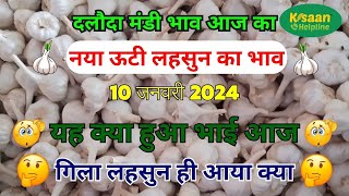 10 जनवरी 2024  दलौदा मंडी भाव  नया ऊटी लहसुन का भाव  ooty lahsun ka bhav  garlic mandi bhav [upl. by Badger]