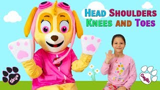 CeylinH amp Skye  Head Shoulders Knees and Toes Kids Song [upl. by Nanam713]