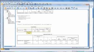 OneSample and IndependentSamples T Tests in SPSS [upl. by Balac128]