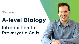 Introduction to Prokaryotic Cells  Alevel Biology  OCR AQA Edexcel [upl. by Covell]