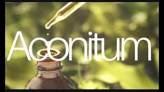 Aconitum [upl. by Elleron]