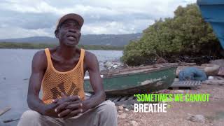 Jamaicans for Clean Air and Water Seaview Gardens Kingston [upl. by Houston]