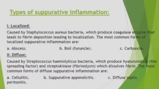 1st Year  Acute Suppurative Inflammation  General Pathology [upl. by Anev27]