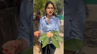 Palmately compound leaf🍁 neet2024 biology trending hardwork shorts shortsviral shortsyoutube [upl. by Yknip]