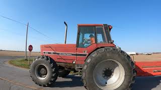 International Harvester 5488 RowCrop tractor  Fulton County  Ohio  Harvest 2020  5K [upl. by Alioz182]