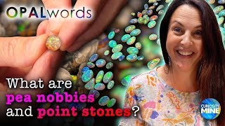 Pea Nobbies Point Stones amp Opal Chips  OPALWORDS  Lightning Ridge [upl. by Eileek983]