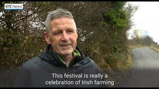 RTE NEWS  THE ANNUAL BURREN CATTLE DRIVE  A 5000 YEAR OLD TRADITION  COUNTY WESTCLARE IRELAND [upl. by Kendricks]