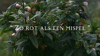 Zo rot als een Mispel 🟤🍂 Mispeljam [upl. by Daeriam]