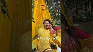 Shimla Wedding  Mini Vlog 2  youtubeshorts jahaann shorts [upl. by Yrrab535]