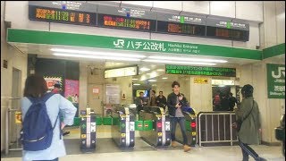 《乗り換え》渋谷駅、JR山手線から東急田園都市線・メトロ半蔵門線へ。 Shibuya [upl. by Pozzy835]