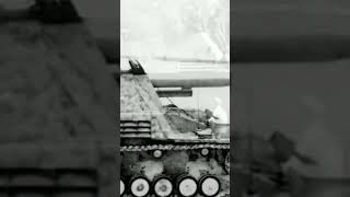 Nashorn Hornisse tankhunter ww2 tank panzer german history documentary [upl. by Annoyi]