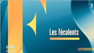 Les féculents avec une diététiciennenutritionniste  Ensemble cest mieux [upl. by Eadahc602]