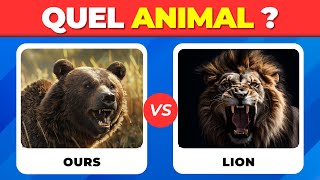 🦁🆚🐯Tu préfères  Quiz Animaux  Lion Tigre Éléphant et plus [upl. by Adniuqal]