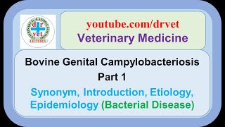 Bovine genital campylobacteriosis Part 1 synonym introduction etiology epidemiology [upl. by Verena311]