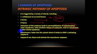 Patho  Carcinogenesis 2 الجزءالأول [upl. by Ahsined]