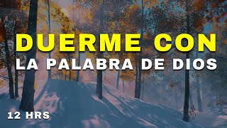 Salmos y Proverbios para Dormir en paz  Biblia Hablada  Duerme con la Palabra de Dios  12 HRS [upl. by Tavie]